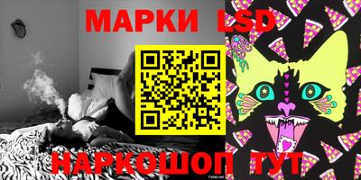 мяу мяу мука Будённовск